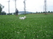 DSC06129.JPG