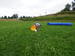 P8020428.JPG