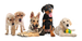 puppyclass.png