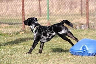 Agility