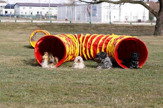 Agility